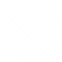 178体育直播